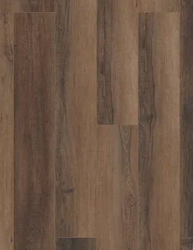 COREtec Pro Plus xl enhanced hd Cheshire elm