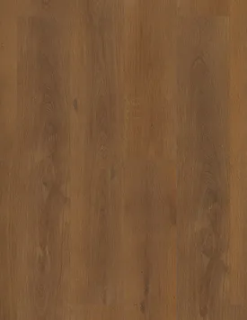 COREtec Pro Plus xl enhanced hd Hampshire oak