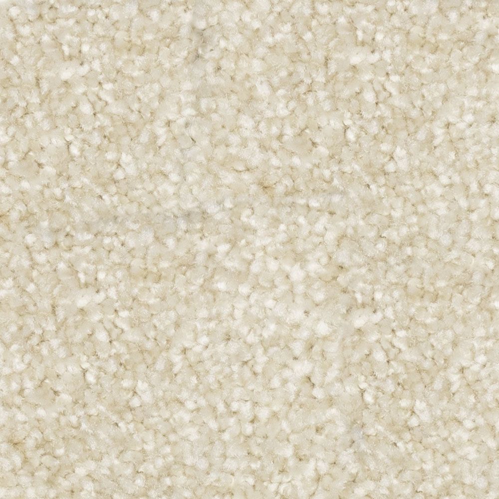 prodigy Beige Clay