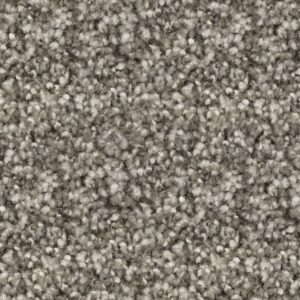 prodigy Sycamore Grey