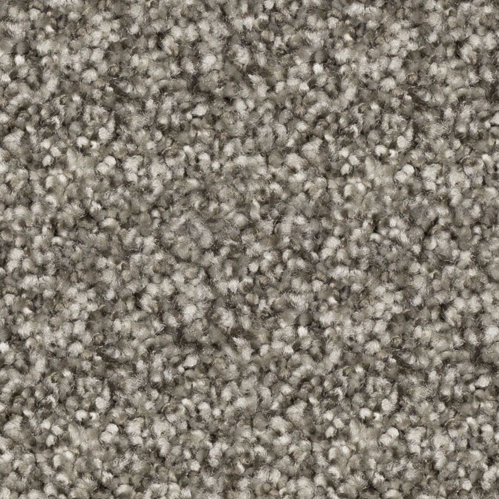 prodigy Sycamore Grey