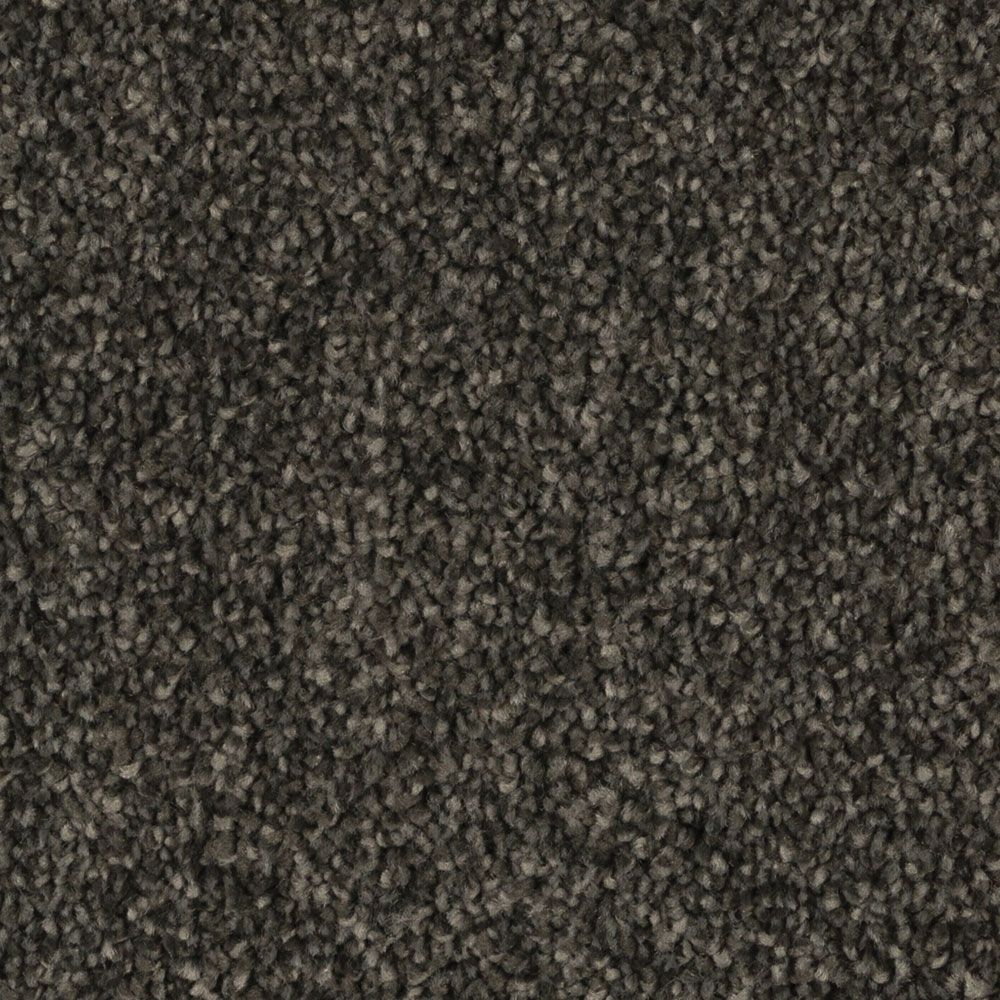 silky splendor dark mood